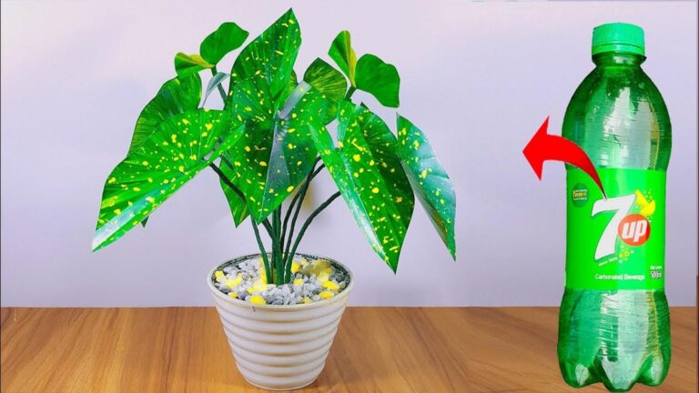 Questo semplice gesto trasforma bottiglie di plastica in decorazioni da sogno…