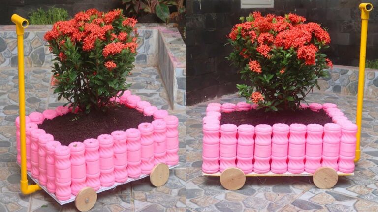 Questo semplice gesto trasforma bottiglie di plastica in un meraviglioso vaso da giardino…