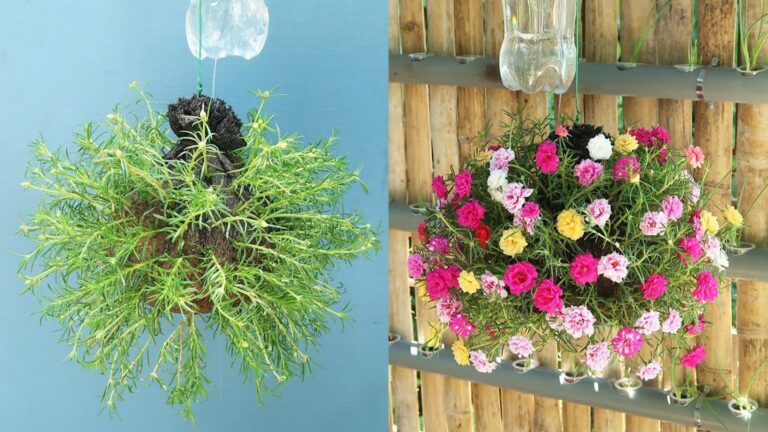 Questo semplice gesto trasforma bottiglie di plastica in un sistema d’irrigazione automatico…