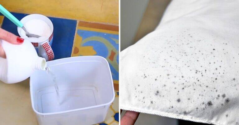 Come eliminare le macchie di muffa col trucco dello zucchero: metodo semplice e consigli utili